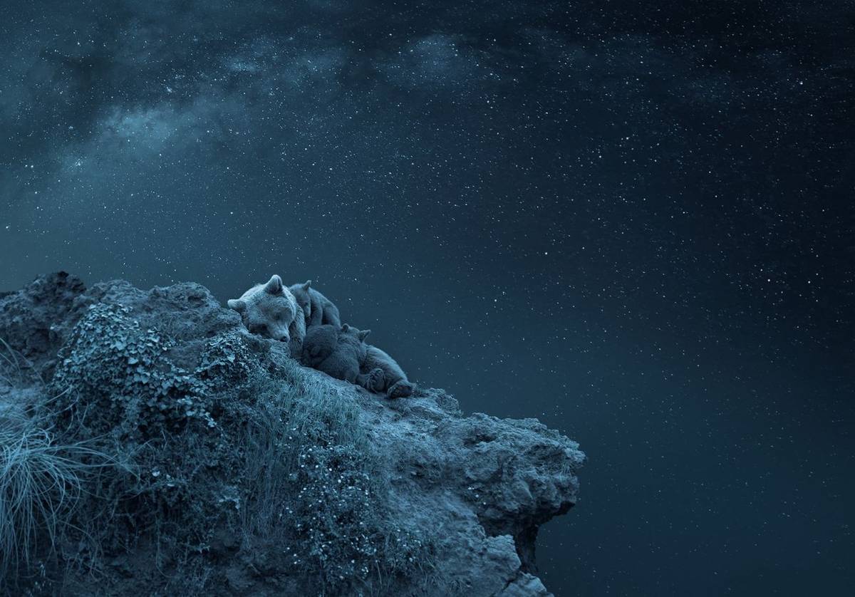 Lurdes Santanderová (Španělsko): Sny o vesmíru. Snímek ze série "Zvířata pod hvězdami" se stal absolutním vítězem prestižní světové soutěže uměleckých fotografů Creative Photo Awards 2024.