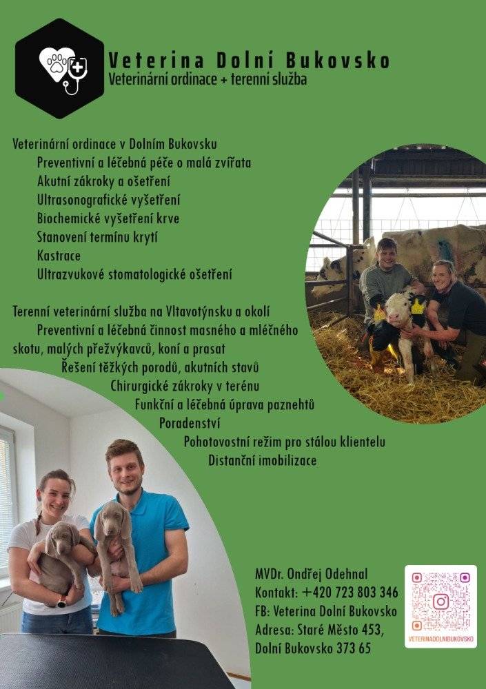 Veterina Dolní Bukovsko nabízí své služby v ordinační době: úterý od 15:00 do 17:00 hodin a ve čtvrtek od 15:00 do 17:00 hodin + mimo ordinační dobu po telefonické domluvě mobil 723 803 346.