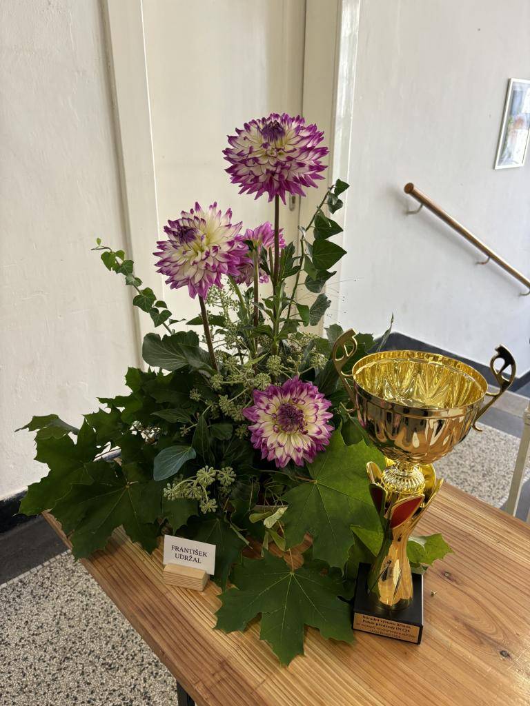 Mezinárodní výstava jiřinek pořádaná každoročně společností Dagla ve spolupráci s ČZS, Pardubickým kraje a obcí Dolní Roveň v sokolovně V Dolní Rovni.