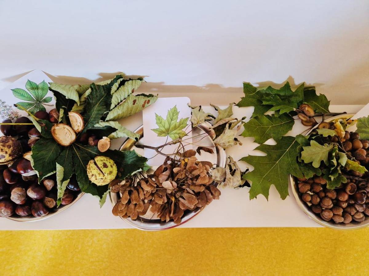 S příchodem podzimu se příroda mění do všech barev a my se snažíme dětem vštěpit základní znaky podzimu, naučit stromy a jejich plody, poznat listy daných stromů a to vše zábavnou formou :) Zkoumáme, stavíme, přiřazujeme, malujeme :)  