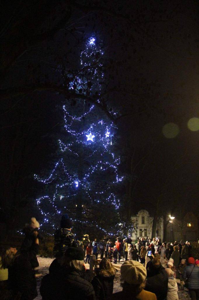 Odkaz na fotografie v plné kvalitě: