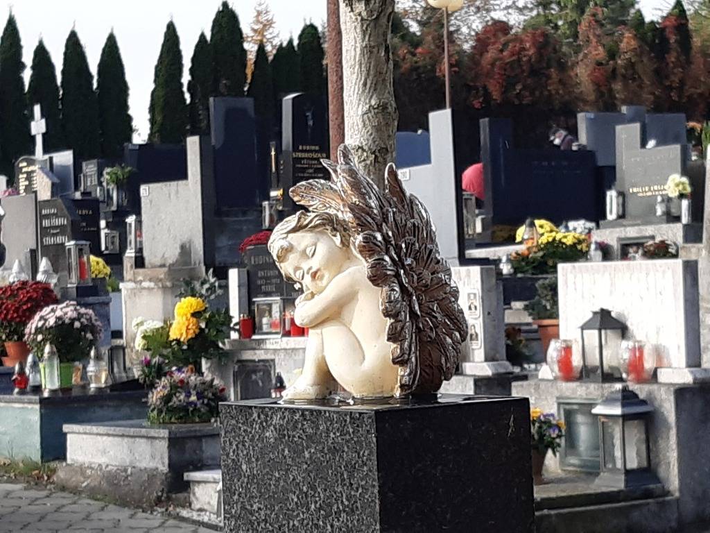 Jako každý rok, také letos začíná čas „dušiček“, kdy  lidé začínají ve větší míře  navštěvovat hřbitovy k uctění památky zesnulých. Bohužel i na těchto pietních místech je páchána trestná činnost. Většina z nás chodí hroby uklízet a zdobit, ale i u této aktivity je nutné být obezřetný a vnímavý. Často se stává, že jsme zaneprázdnění zdobením hrobů a nevěnujeme pozornost svým osobním věcem. Policie každoročně řeší případy krádeží věci, například kovové sošky, kříže, urny či různé ozdobné doplňky nebo také poškození náhrobků. A z těchto důvodů se policie zaměří na veřejný pořádek, především v okolí hřbitovů a přilehlých parkovišť. Své věci mějte stále u sebe a na očích a nedávejte pachatelům šanci!!! Řidiči pozor! Právě v tuto dobu vyráží na hřbitovy větší množství lidí. Není to jen 2. listopadu, který připadá Památce zesnulých. Několik dní před tímto datem lidé jezdí totiž hroby upravovat a zdobit. Proto v tyto dny by řidiči měli být zvláště obezřetní, provoz může houstnout a také se na cestách mohou objevit tzv. „sváteční řidiči“. Těmto řidičům tak přezdíváme z důvodu, že vyráží do ulic nepravidelně, jednou za čas a nejsou tak zběhlí v běžné silničním provozu.  Chtěli bychom apelovat na řidiče, aby byli k sobě obezřetní, ohleduplní a trpěliví, tímto chováním mohou předejít komplikacím, které mohou nastat!!! Parkování – nenechávejte své věci v autě! Co se týče parkování, i zde platí heslo „Auto není trezor“. Tzn., nenechávejte žádné věci ve svých vozidlech. Jedná se mnohdy o pár vteřin, kdy si pachatel vytipuje auto a vykrade ho. Může ho lákat např. i prázdná taška či bunda a zkusí danou věc odcizit. V tom případě je škoda na majetku vozidla vyšší než samotná věc. Všechny věci z auta si s sebou vezměte nebo je uschovejte například do kufru či jiných přihrádek ještě nejlépe před jízdou!!!   Buďte vidět! V této době bychom chtěli upozornit také na viditelnost, jelikož památka zesnulých připadá na začátek listopadu. V tuto dobu se dříve stmívá a někteří lidé chodí na hřbitovy pěšky. Doporučujeme v tomto případě nosit na sobě reflexní prvky a být vidět. Doplňky z reflexních materiálů je nejlépe umístit na pohyblivých částech těla, ideálně nad zápěstím a nad kotníkem.   Nespoléhejte, že na hřbitovech nemůže dojít k žádné majetkové újmě, drzost pachatelů nezná hranic, a proto buďte vnímaví a obezřetní!   Krajské ředitelství policie Moravskoslezského kraje oddělení prevence nprap. Mgr. Bc. Lenka Stočes Hubertová