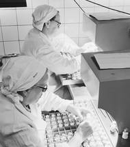 Díky úspěchům vlastního vývoje a rozšíření kapacit byla produkce v Roztokách od 50. let rozšířena o další farmaceutické produkty, později se jednalo například o efedrin, a výroba penicilinu se přesunula do obce Slovenská Ľupča nedaleko Banské Bystrice. V roce 1966 se sloučily dva subjekty, které vznikly reorganizací "penicilinky", a byl založen Výzkumný ústav antibiotik a biotransformací, který jako akciová společnost VUAB Pharma stále sídlí v budově bývalé továrny na penicilin.