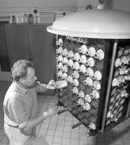 V posledních letech se stále častěji hovoří o možnosti obnovit v České republice výrobu penicilinu, ale i dalších základních surovin pro nejrozšířenější léčiva. ČR se totiž podobně jako ostatní evropské země potýká s občasnými i déle trvajícími výpadky některých léků - od prostředků proti bolesti nebo horečkám přes antibiotika až například po léky pro astmatiky nebo proti rakovině. Základní problém je v tom, že evropské státy v posledních desetiletích přestaly vyrábět základní suroviny, které se produkují laciněji v Asii.