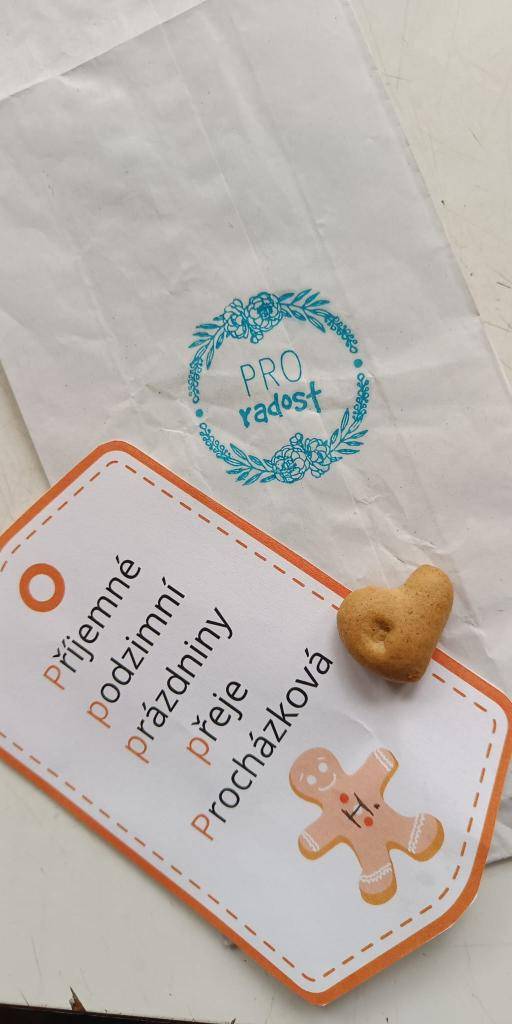 Počáteční písmeno P měla nejen nejdůležitější ingredience (perník z Počepic), ale i pomůcky na pečení - plech, prkénko, pečící papír a písmena. Taková hravá výuka pomáhá  dětem si poznatky lépe zapamatovat a zažít si je příjemnou formou.