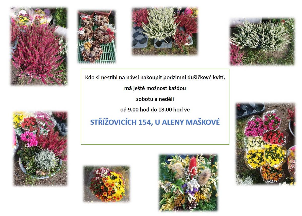 nákup u Aleny Maškové, Střížovice 154