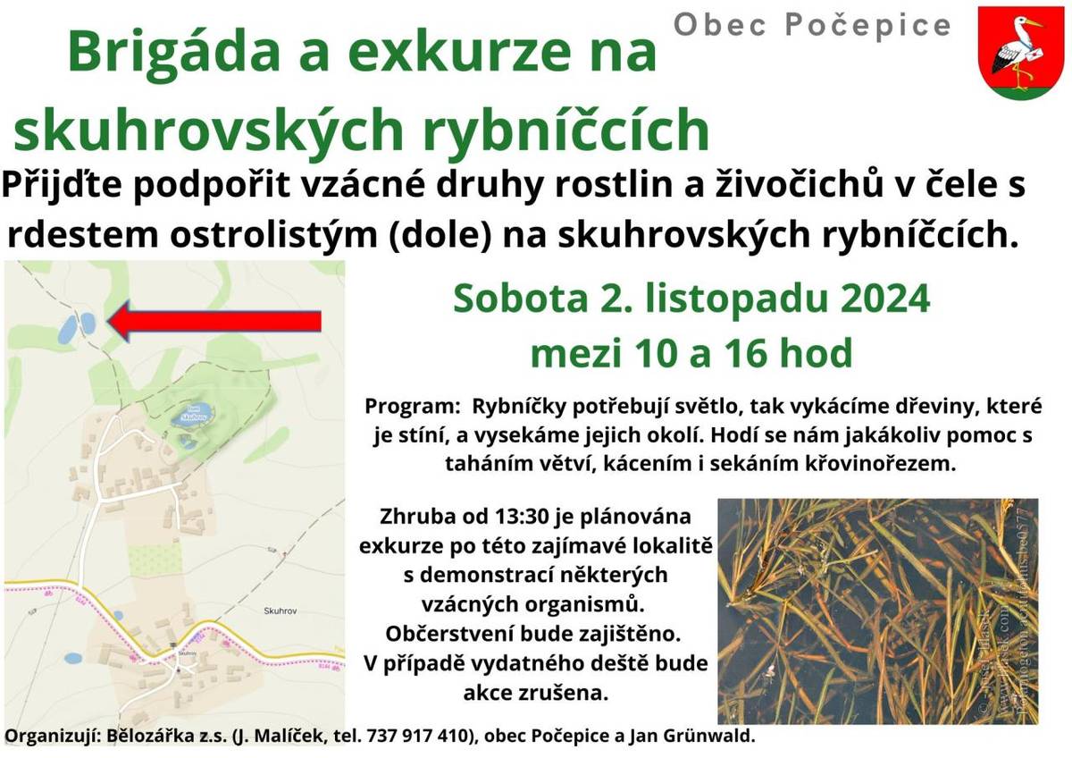 Skuhrovské rybníčky - brigáda a exkurze 