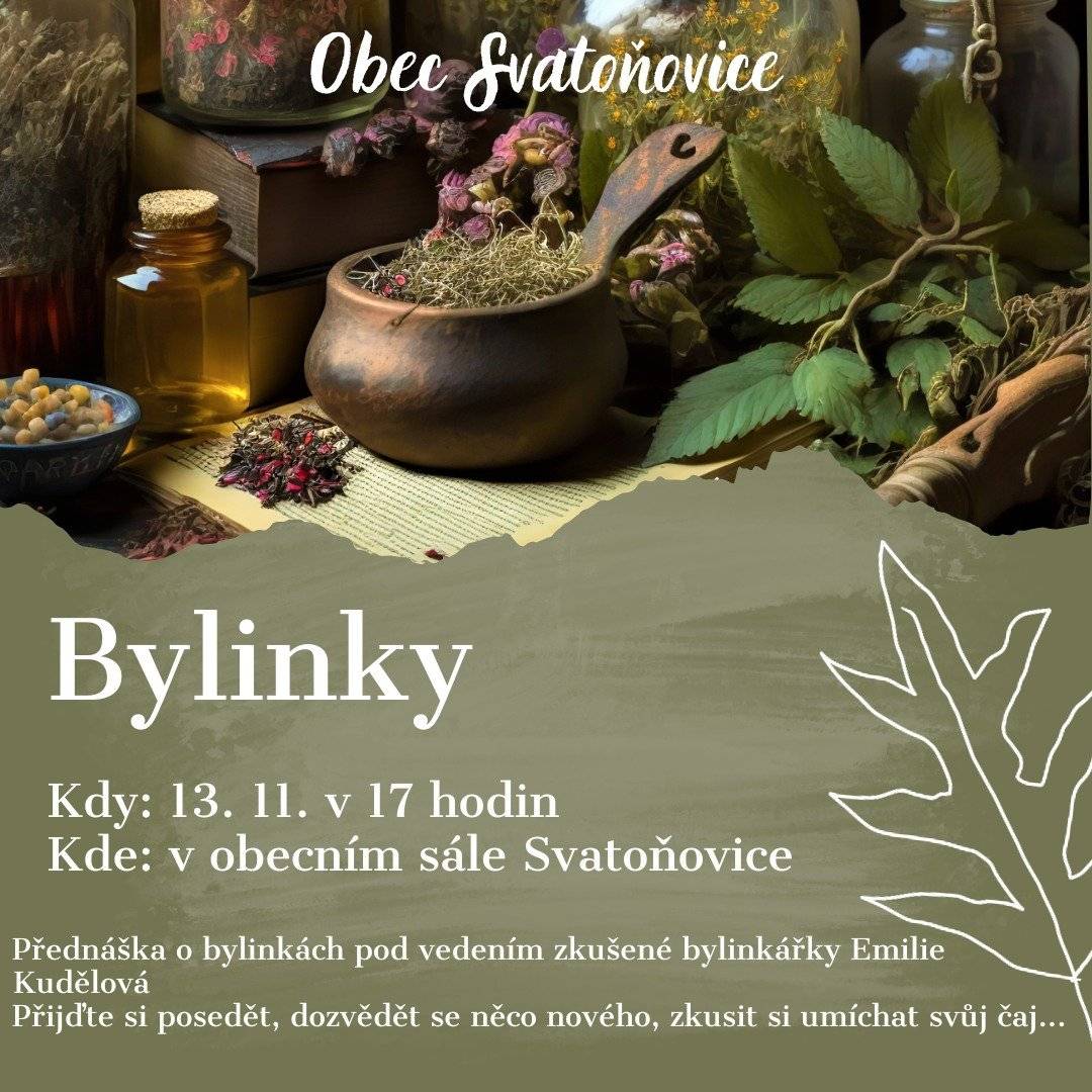 dne 13.11.2024 v 17:00 hod.