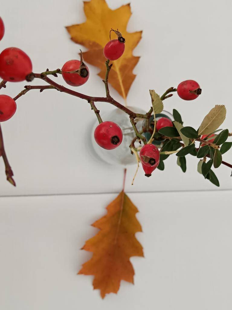 Posedenie so staršími a jubilujúcimi občanmi našej obce sa uskutočnilo vo štvrtok 24.10.2024 v kultúrnom dome. V programe vystúpili tanečníčky z TK Jessy Vavrišovo a deti z materskej školy, ktoré pre dôchodcov pripravili aj malý darček.