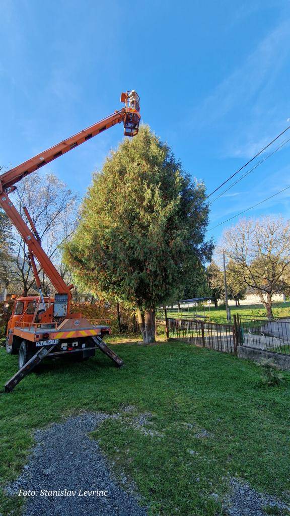 Obec Rochovce dňa 23.10.2024 zabezpečila orezávanie konárov stromov tují pri Obecnom úrade v Rochovciach, ktoré ohrozujú budovu úradu a zasahujú do elektrického vedenia.