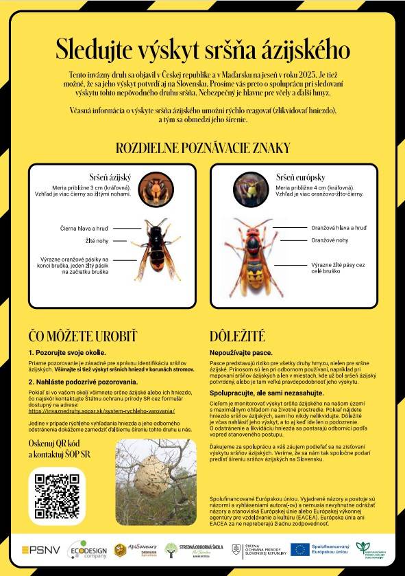Upozornenie! Sršeň ázijský!  
