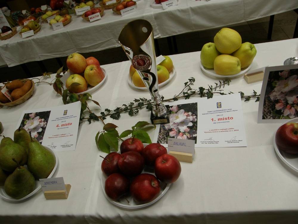 Dne 18.-20.10.2024 proběhla pod záštitou města Nýřany a ÚS ČZS Region Plzeň výstava ovoce a zeleniny.