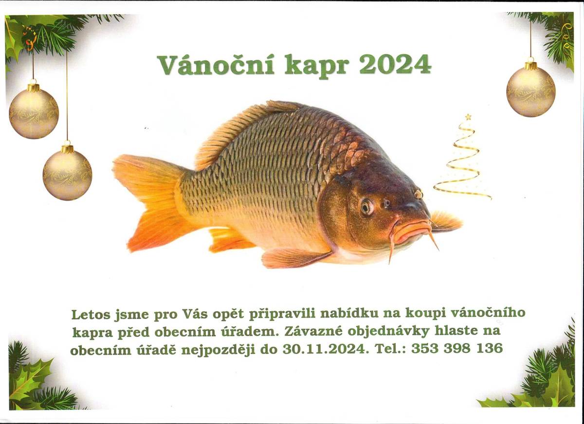 Vánoční kapr 2024