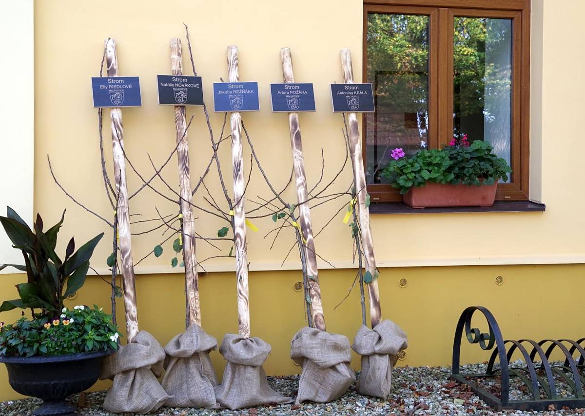 v sobotu 19. 10. 2024