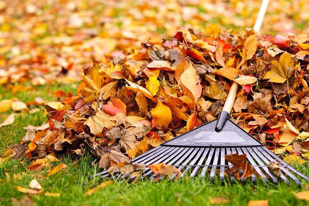 V prostoru přečerpávací stanice je přistaven kontejner na listí. Prosím nevhazujte větve ani jiný odpad