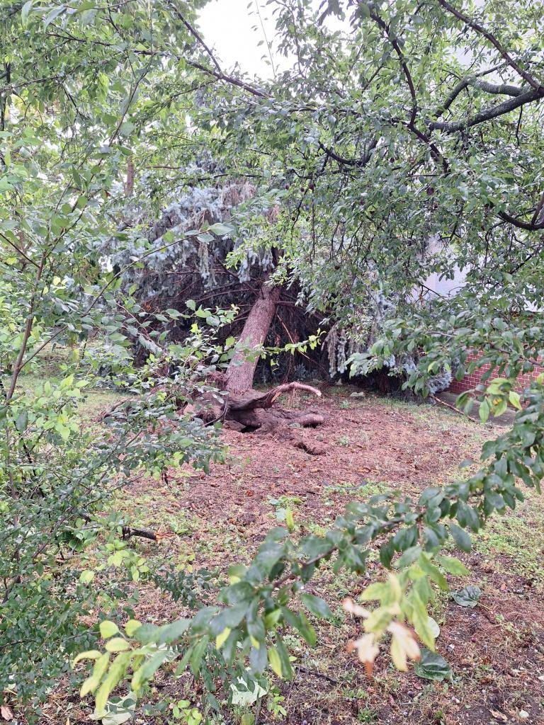 Foto: Mgr. Tomáš Pražák