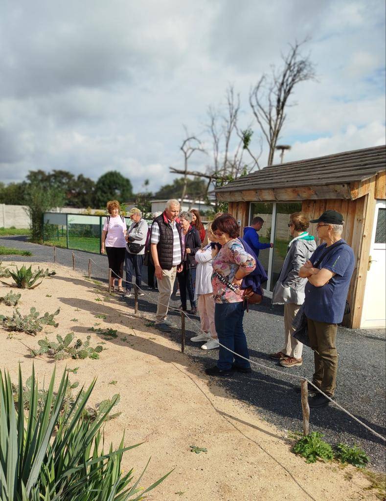 Městys Nehvizdy připravil ve spolupráci se ZOOparkem Nehvizdy a panem Glattem komentovanou prohlídku pro naše seniory. Povídání bylo zajímavé a okořeněné o perličky ze života zvířat. Na závěr celé akce všichni dostali občerstvení, počasí se vydařilo a všem se prohlídka moc líbila.  Děkujeme.