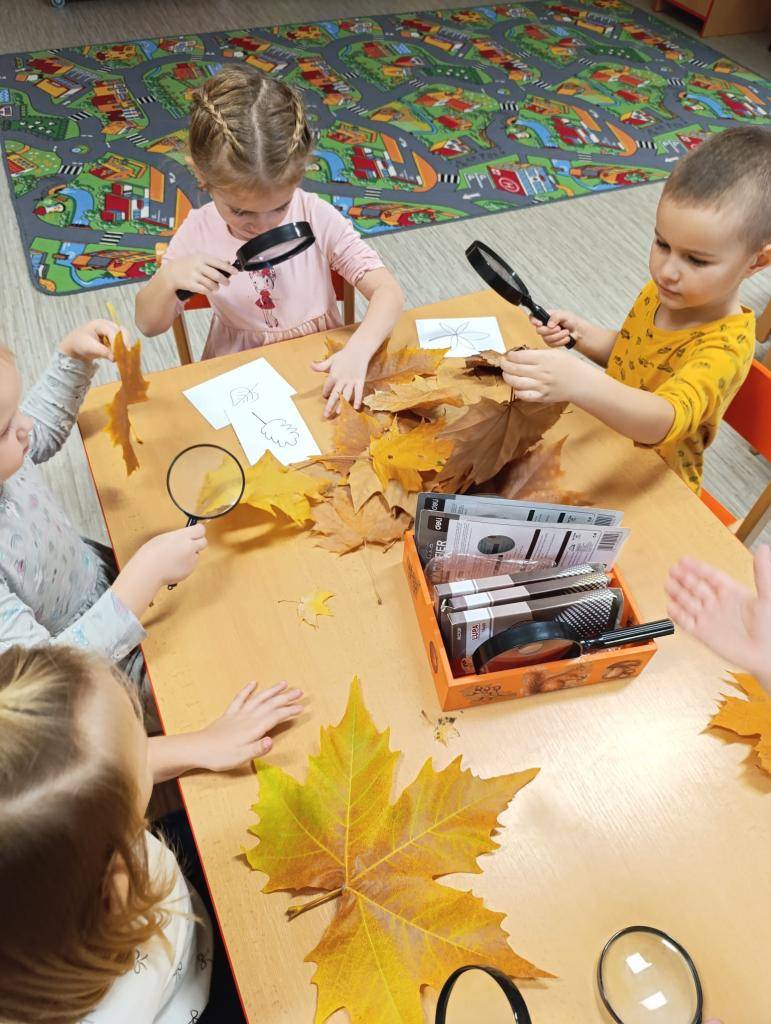 Aktivity a činnosti v měsíci listopadu