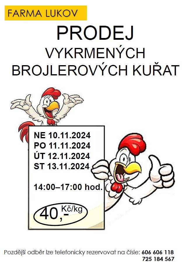 od 10.11. do 13.11.2024  14:00 - 17:00 hod