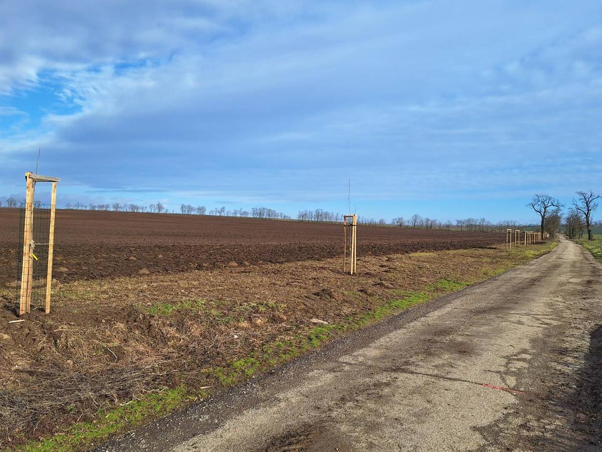 Foto: Mgr. Tomáš Pražák