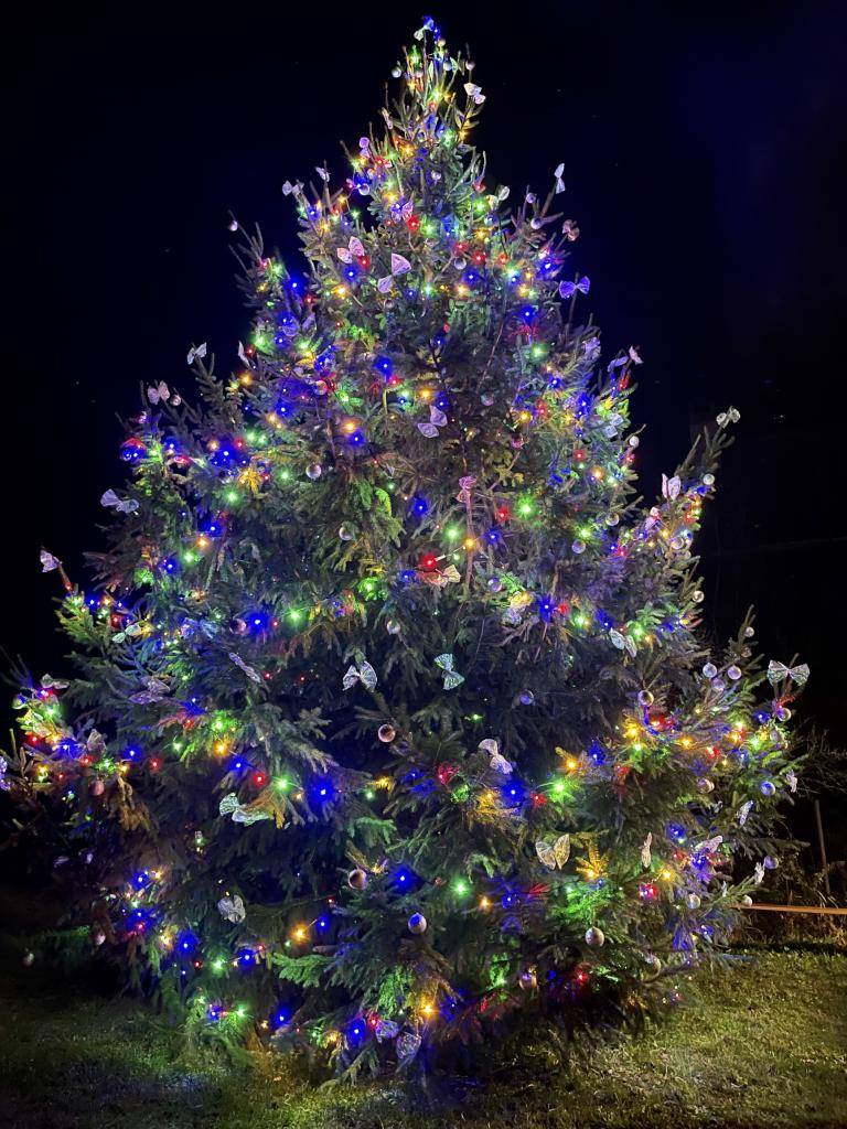 V neděli 1. 12. 2024 v 17:00 hod. u OÚ.  Bližší informace v přiložené pozvánce.