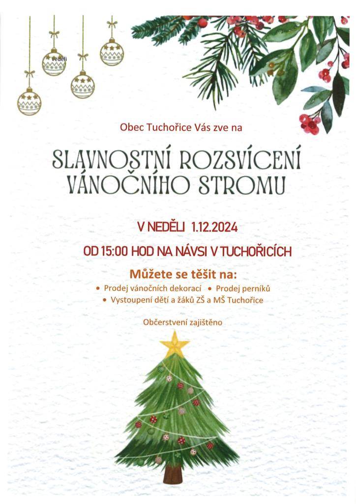 Přijďte s námi přivítat advent. Občerstvení zajištěno. Můžete si zakoupit vánoční dekorace a perníky.