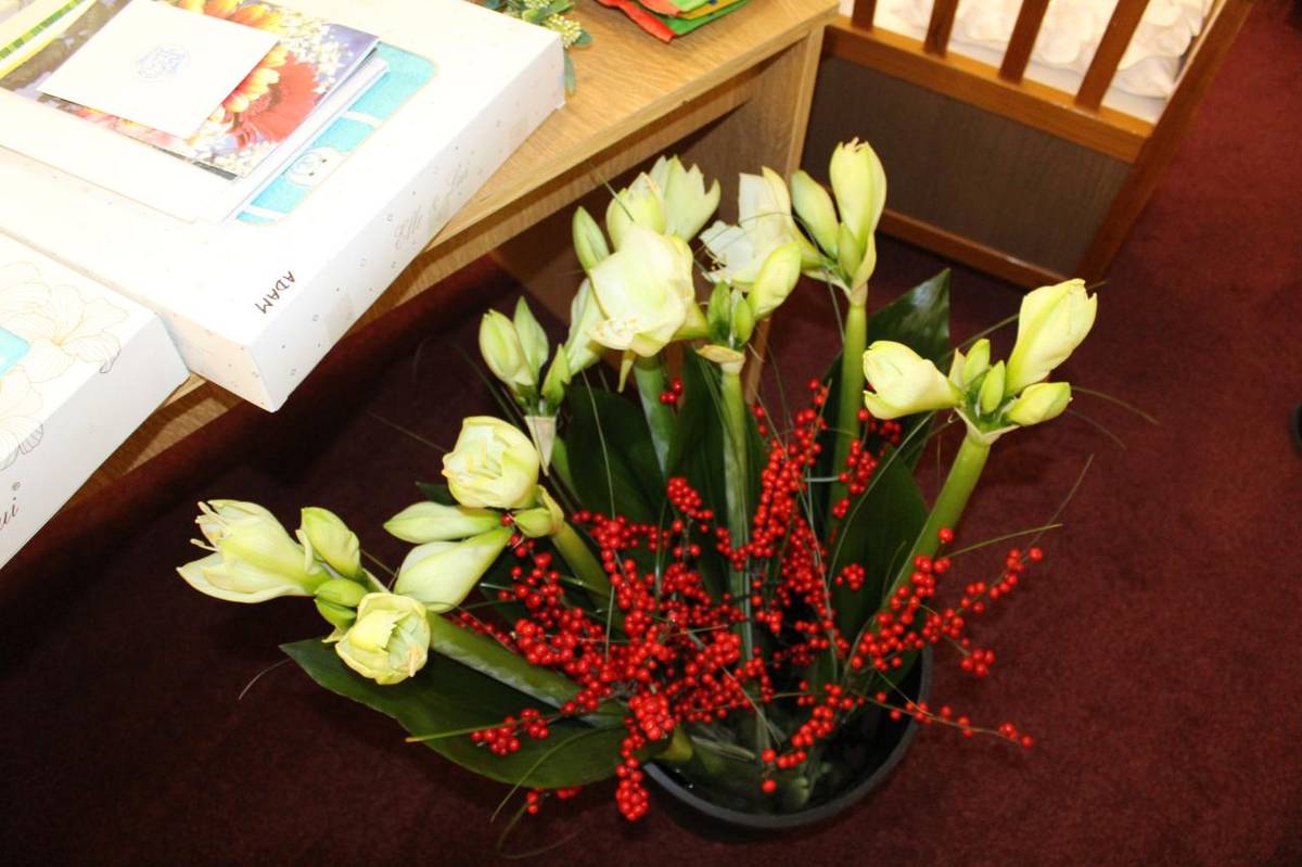 Adam Koutník, Jonáš Kroupar, Laura Nguye