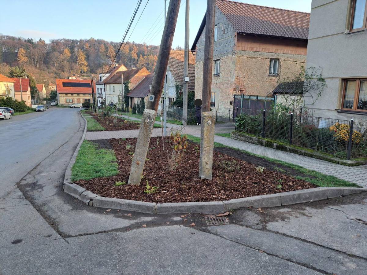 V měsíci listopadu 2024 se podařilo dokončit výsadbu nové zeleně na návsi obce.