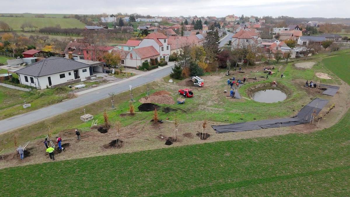 Výsadba parčíku 2.11.2024