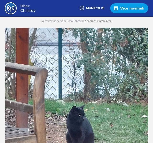 Již několik dní sídlí v Žabovřeskách u Lázničků v přístřešku pro auto tento krásný černý kocour a dožaduje se vstupu dovnitř:-) Je moc pěkný, vykrmený, ale osamocený. Pokud víte, komu patří, předejte prosím tuto zprávu. Kontakt: Andrea Lázničková, tel. 774374781 Děkujeme Milada Těhlová za OÚ Chlístov 