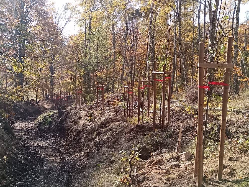 Výsadba Jeřábové aleje - II. etapa