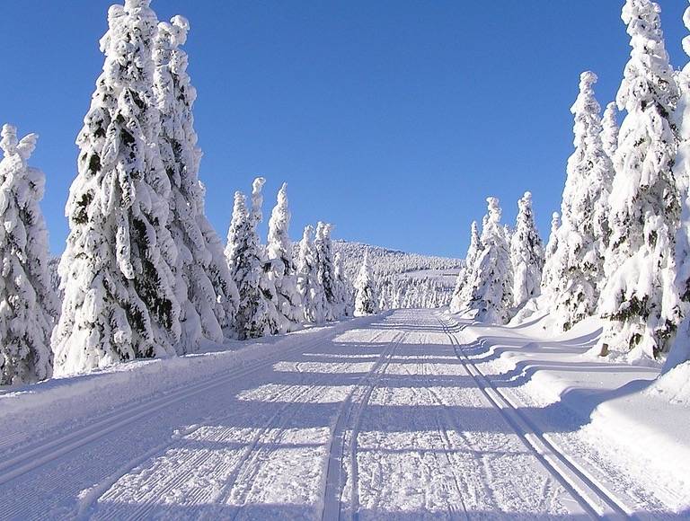 Obecný úrad Korytárky oznamuje držiteľom motorových vozidiel, že zimná údržba ciest bude zabezpečená v tých uliciach, kde nebude zaparkované žiadne auto na obecnej ceste.   Toto opatrenie sa robí z dôvodu ochrany vášho majetku pred poškodením.    Za spoluprácu ďakujeme.