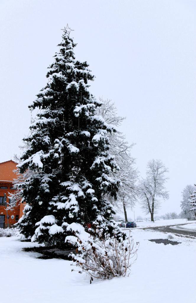 Obec Žabovřesky srdečně zve na ROZSVÍCENÍ VÁNOČNÍHO STROMU v sobotu dne 30.11.2024 od 18:00 h. a TRADIČNÍ JARMARK od 17:00 hod.