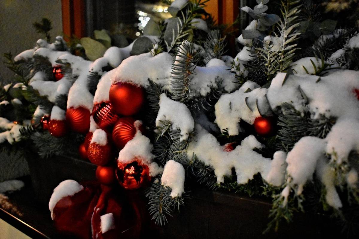 3.prosince 2023  Fotografoval pan Ladislav Mrkva