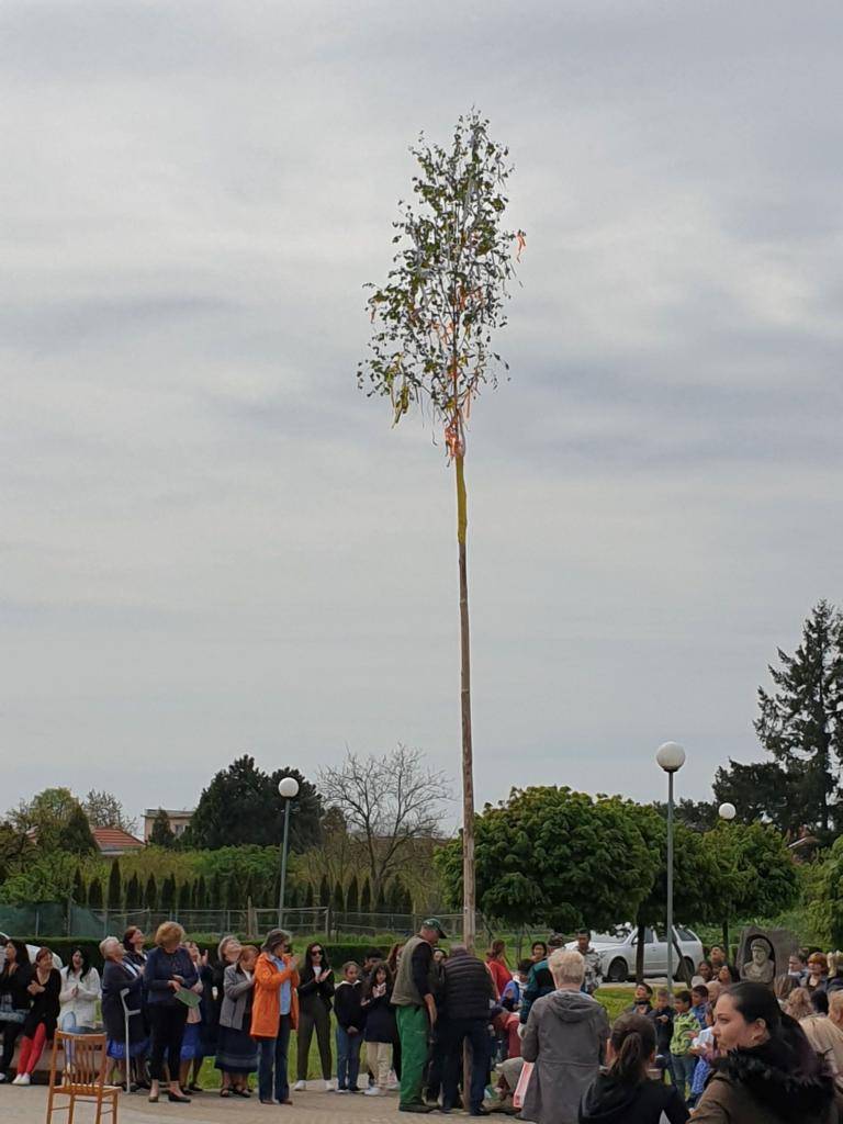 Táto akcia patrí medzi obľúbené tradície a priťahuje množstvo obyvateľov aj návštevníkov, ktorí si chcú užiť sviatočnú atmosféru a zábavu.