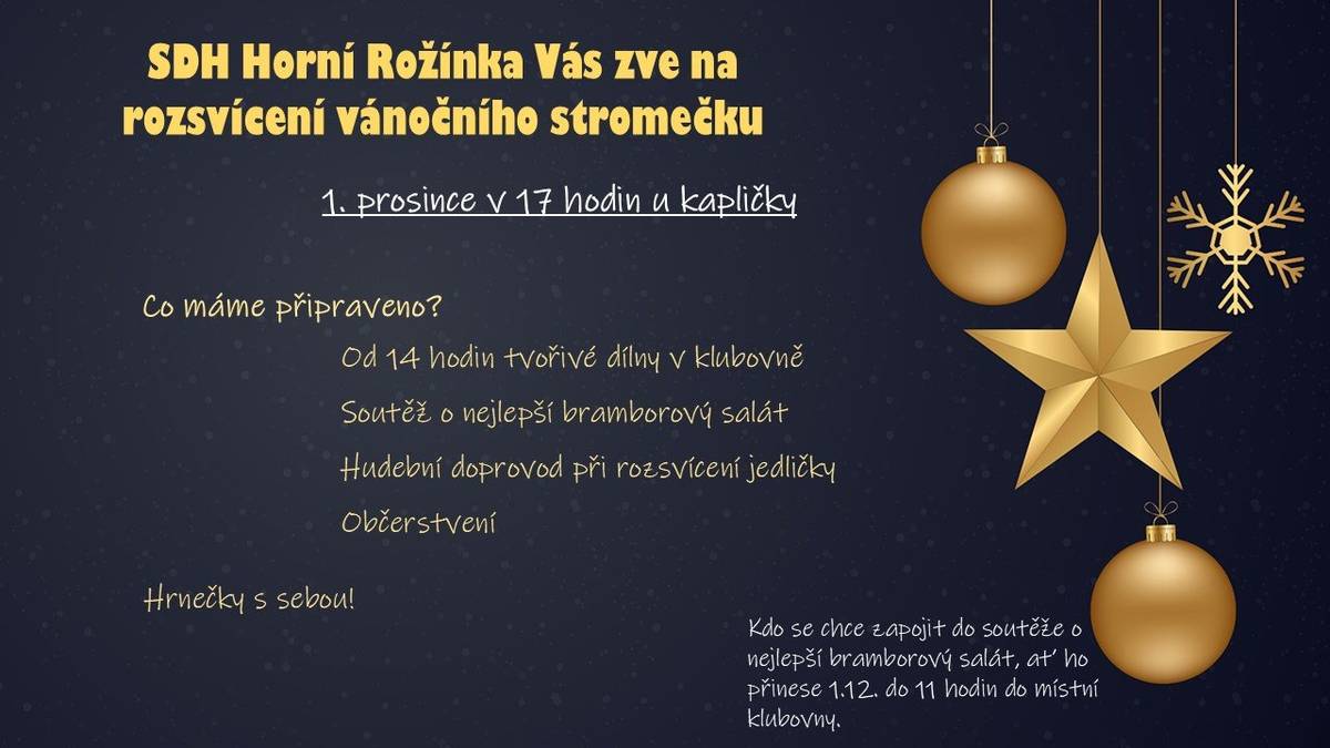 Ráda bych vás všechny pozvala na společné rozsvícení stromečku, v neděli 1.12.2024