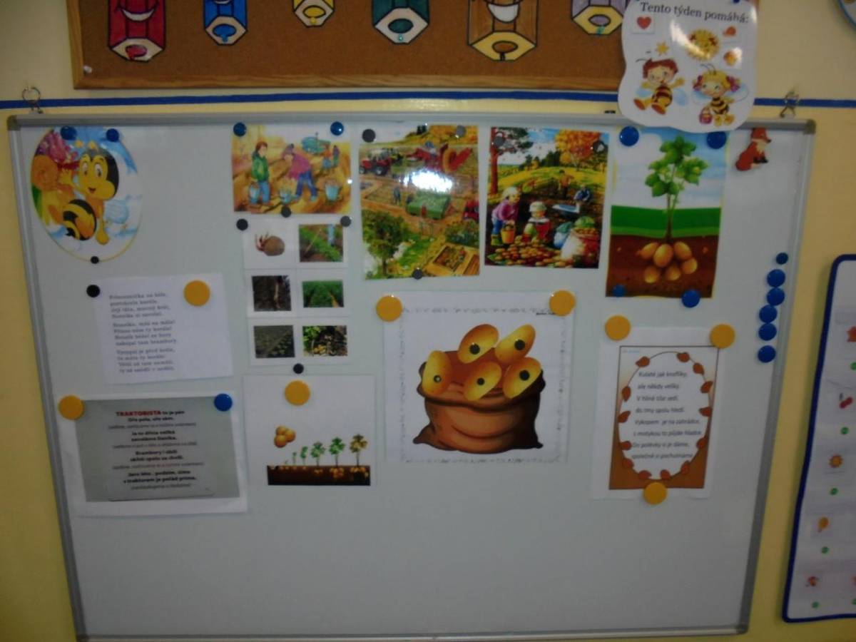 "Koulela se brambora"