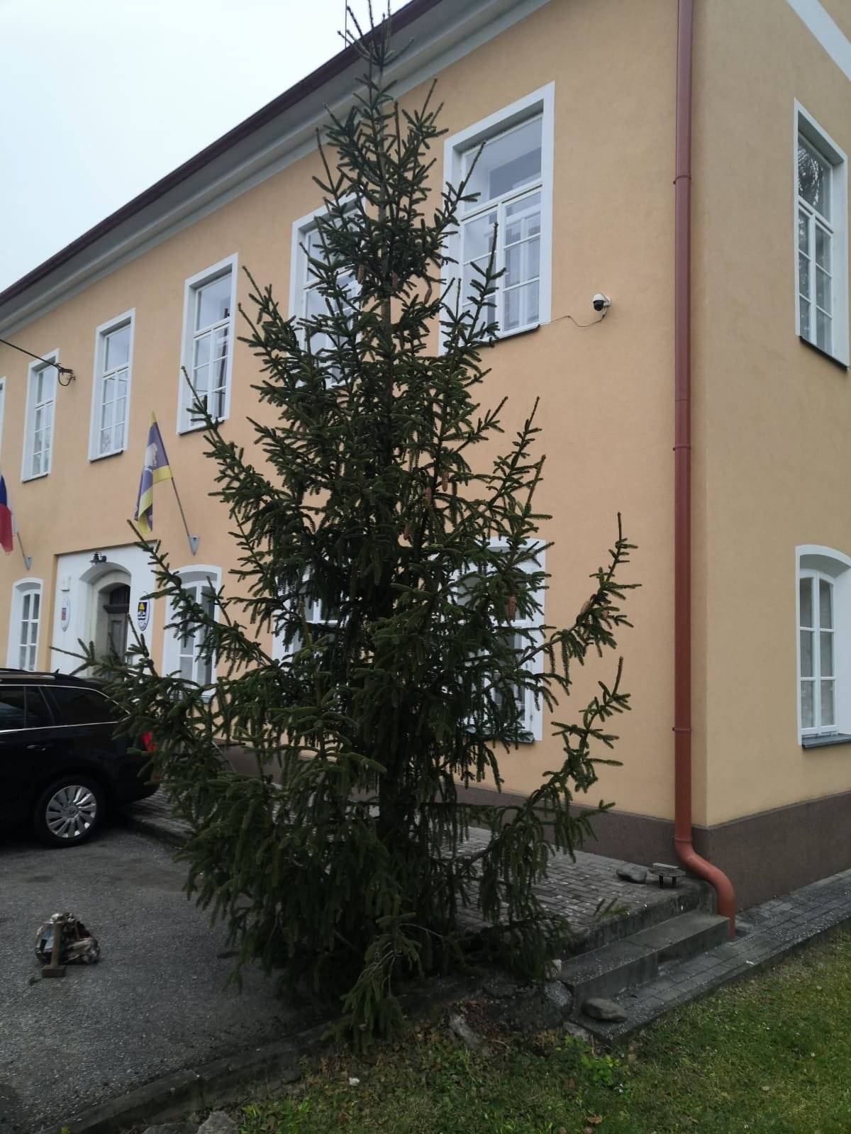 Obec Kounov zve všechny zájemce k nedělnímu zdobení vánočního stromku, které bude probíhat od 14:30 před budovou obecního úřadu.