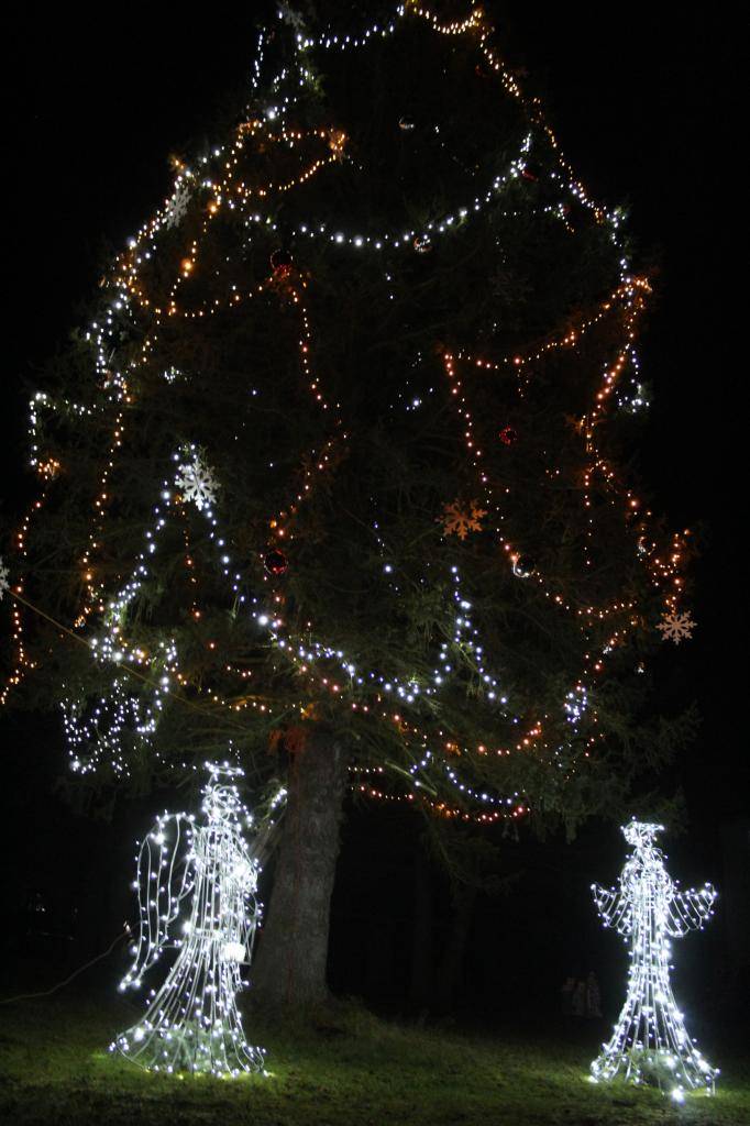 Fotografie ze slavnostního rozsvěcováni vánočního stromu, které proběhlo 1.12.2024. Letošní novinkou jsou světelní andělé z dílny Slévárna Svobodovi. Pěvecký doprovod dětí ze 4. a 5. třídy ZŠ a MŠ v Rapšachu pod vedením paní Mgr. Jany Šikrové. Děkujeme!  Foto: Bc. Eliška Šroubová