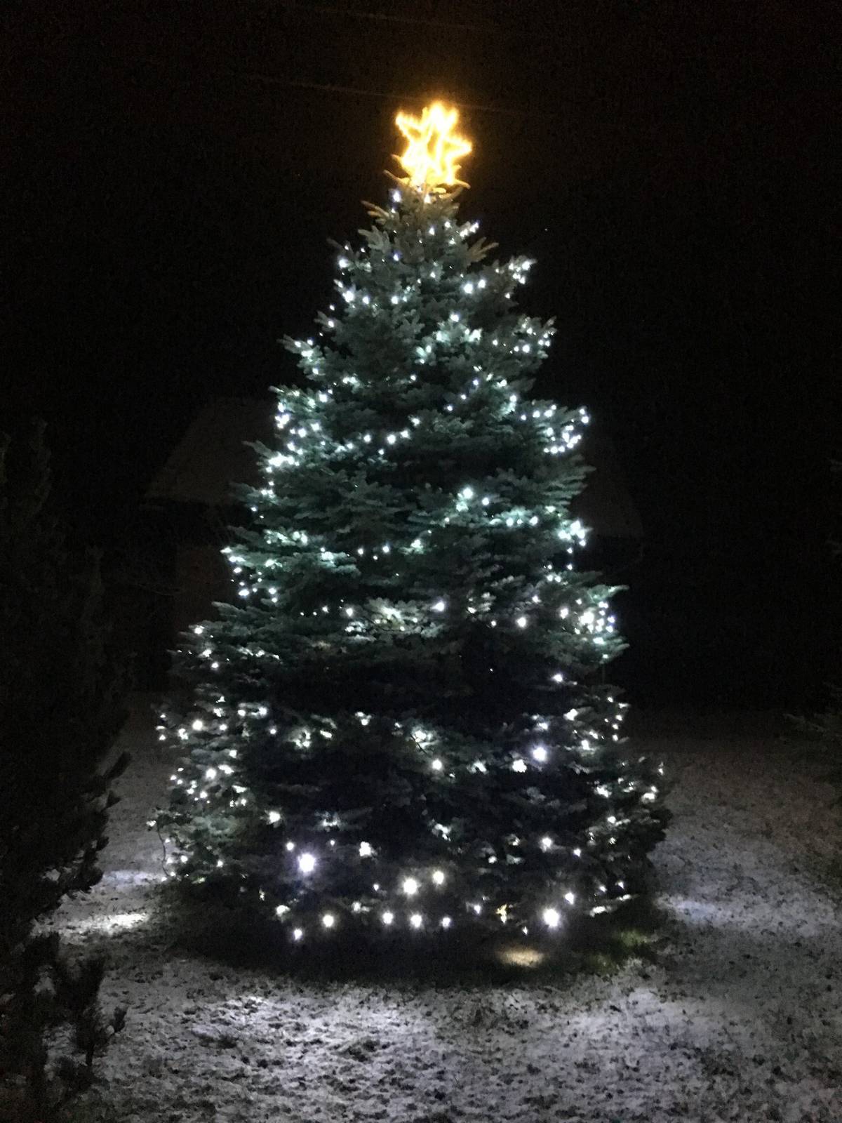 Rozsvěcení vánočního stromu se uskuteční v neděli 1.prosince v 16:30 hodin. Hrnečky na svařák nebo horký mošt s sebou, drobné občerstvení je zajištěno.