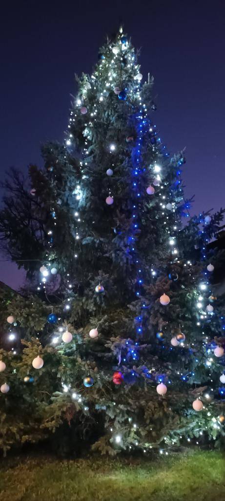 Rozsvícení vánočního stromku 30.11.2024