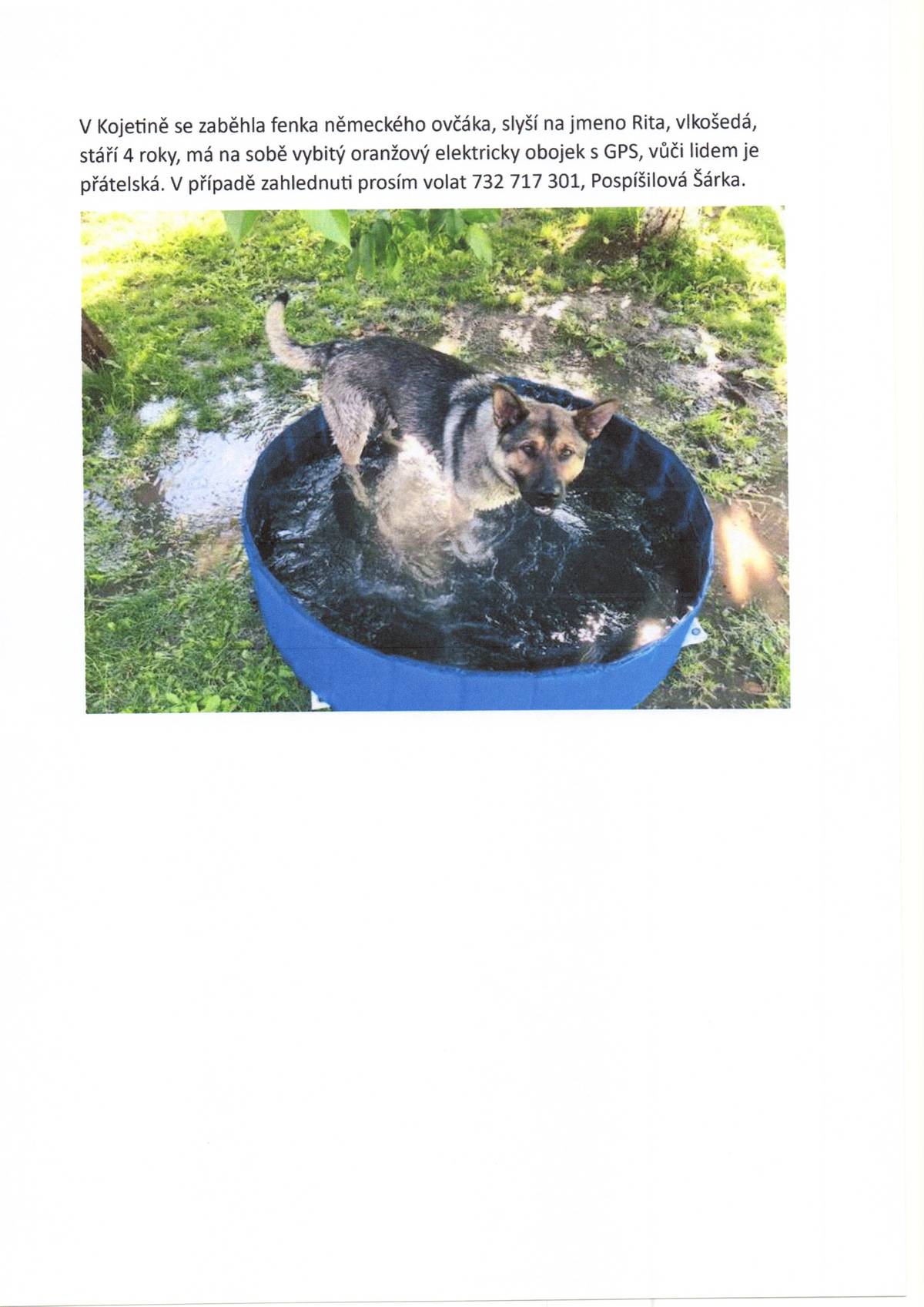 V Kojetíně se zaběhla fenka německého ovčáka,  slyší na jméno RITA. Má na sobě oranžový obojek. Volat prosím 732 717 301 p. Pospíšilová