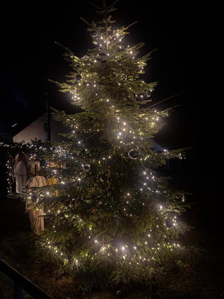 Rozsvícení vánočního stromu