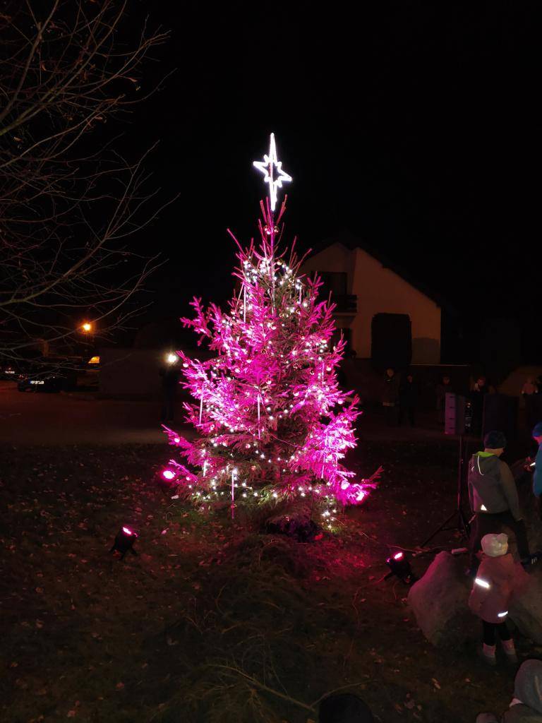 Rozsvícení vánočního stromu v Sedlci, 30.11.2024