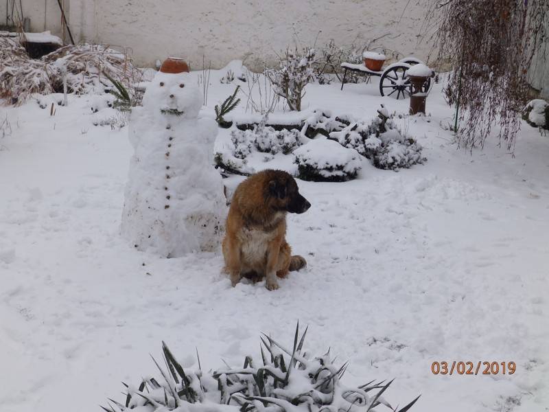 Zasněžené Zápy 2019