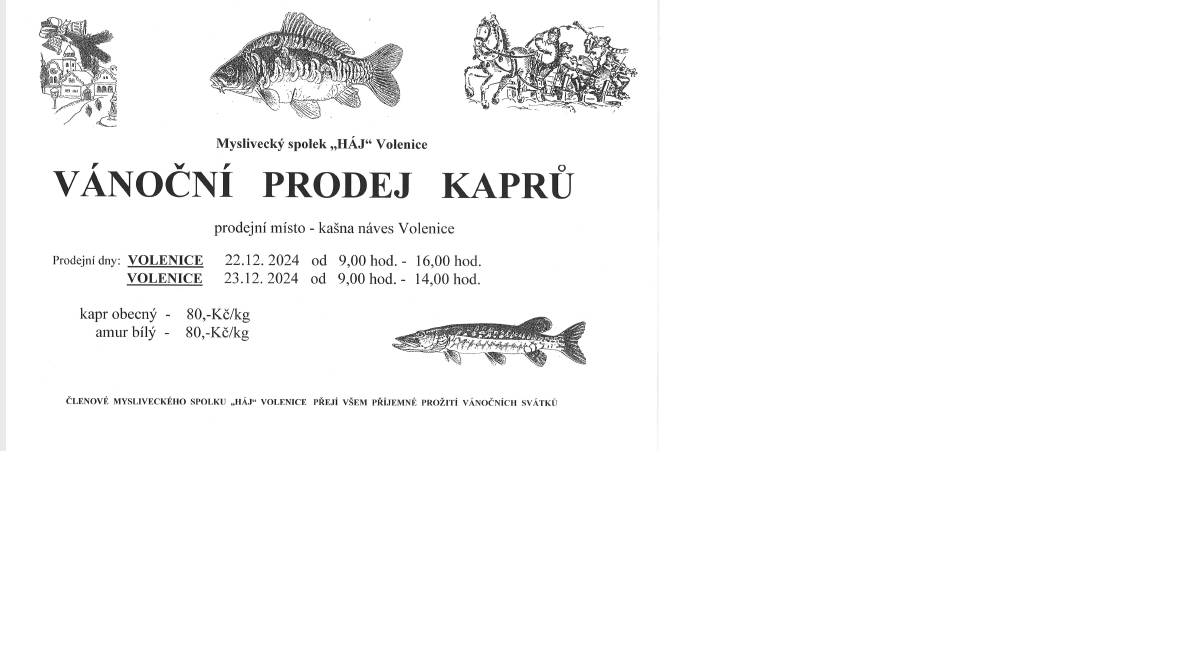 Vánoční prodej kaprů