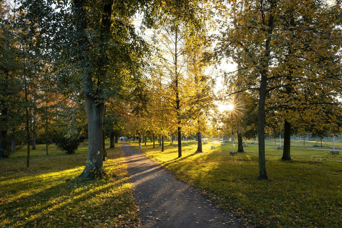 📅 Městský kalendář 2025 je tady! ✨ Připomeňte si krásy našeho města každý den. Limitovaná edice s krásnými fotografiemi krajiny Peček. 📸🌿 📍 K dostání na těchto místech:  📚 Městská knihovna 🎭 Kulturní dům 🏛️ Sekretariát města  🎉 Nenechte si ujít tuto jedinečnou edici a oslavte rok 2025 s kouzlem Peček! 🌟