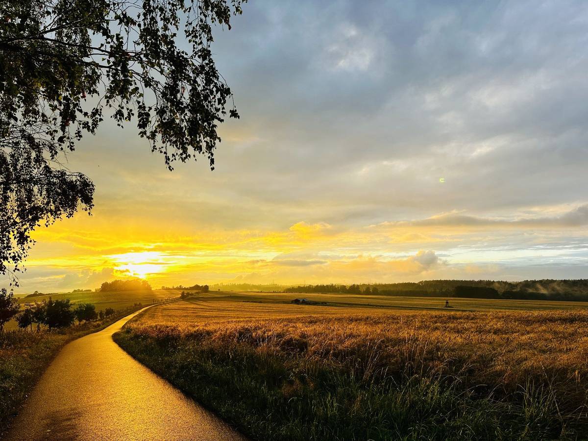 Nový rozměr pro silnici mezi Libníčí a Úsilným!  Po čtyřech letech intenzivních jednání a příprav se konečně dočkáme významné dopravní investice, která zlepší spojení mezi našimi obcemi. Již v prosinci letošního roku začnou stavební práce na projektu Polní cesta VC3, lokalita na Strouze. Tento projekt zahrnuje výstavbu nové asfaltové silnice vedoucí od ulice Za Humny v Libníčí až k začátku katastru obce Úsilné, kde se napojí na stávající asfaltovou komunikaci. Celá stavba, měřící 1800 metrů, bude 100 % financována z dotačního programu rozvoje venkova v celkové výši 13 318 086,70 Kč bez DPH. Zhotovitelem projektu byla vybrána společnost Eurovia, která zahájí práce v prosinci 2024 a předpokládané ukončení stavby je naplánováno na květen 2025. Současně si uvědomujeme, že s výstavbou nové silnice bude spojen i zvýšený provoz nákladních vozidel v obci. Proto bychom chtěli požádat všechny občany o trpělivost a pochopení během stavebních prací. Věříme, že výsledkem bude moderní a bezpečná komunikace, která nám všem přinese mnoho benefitů.  Děkujeme za spolupráci! V případě jakéhokoliv dotazu ohledně stavby kontaktujte vedoucího stavby pana Řimnáče na telefonu 602 104 221. Telefon je platný po 1.lednu 2025