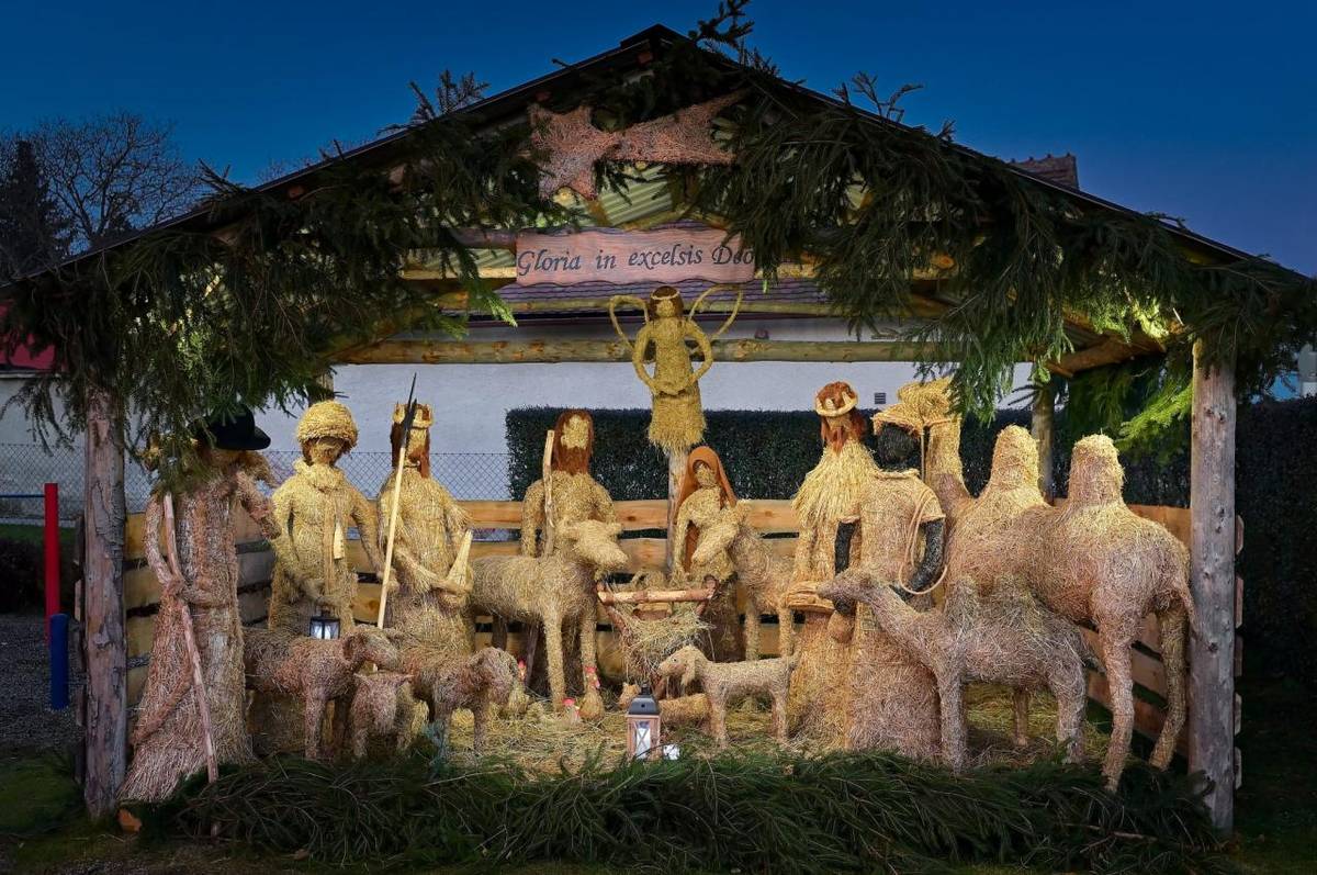 Kořenice, 30.11. 2024 - rozsvícení vánočního stromu. Děkujeme za krásný večer s vámi, vážení spoluobčané a přátelé. Účast byla obrovská,což mě velmi potěšilo. Mějte krásné předvánoční chvíle plné radosti a úsměvu.