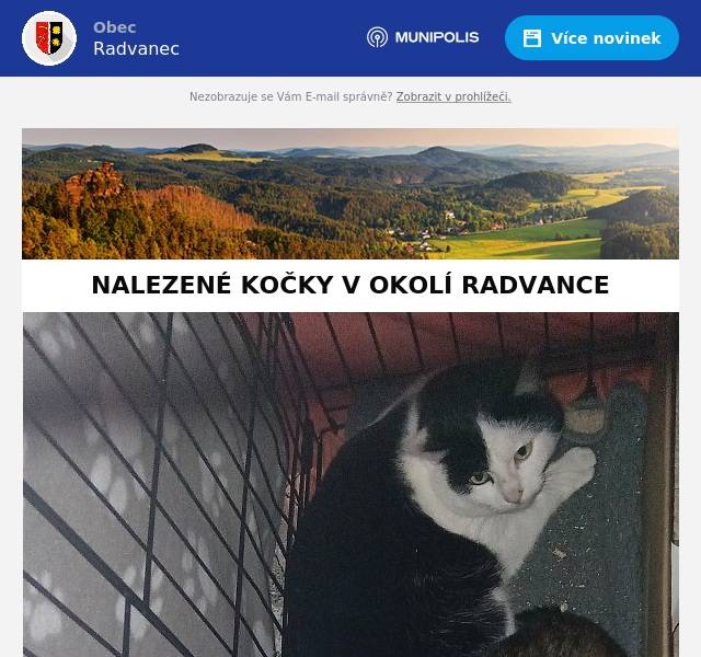 TYTO DVĚ KOČKY BYLY NALEZENY V OKOLÍ RADVANCE. POZNÁVÁ JE NĚKDO? NEVÍTE ČÍ BY MOHLY BÝT? V SOUČASNÉ CHVÍLI JSOU UMÍSTĚNI V ANDĚLSKÉM SVĚTE VE SLOUPU V ČECHÁCH.